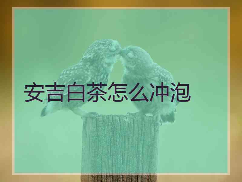 安吉白茶怎么冲泡
