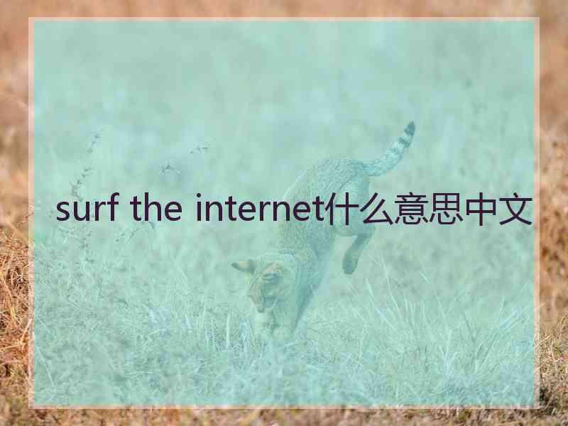 surf the internet什么意思中文