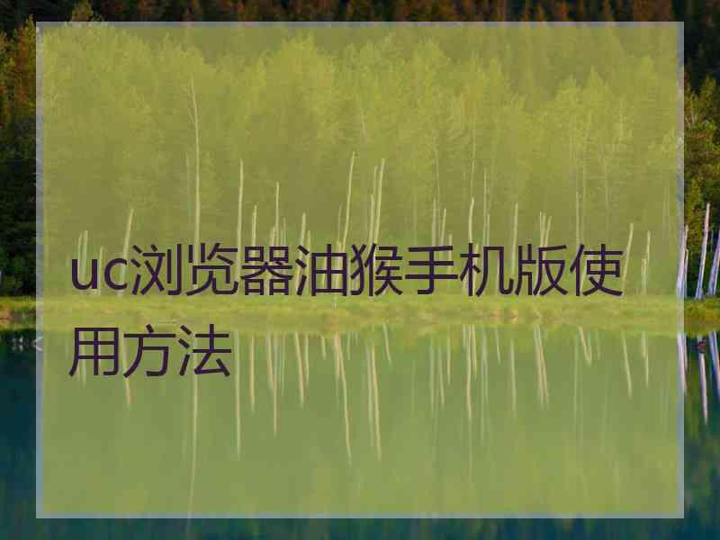 uc浏览器油猴手机版使用方法