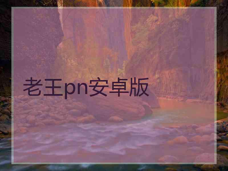 老王pn安卓版