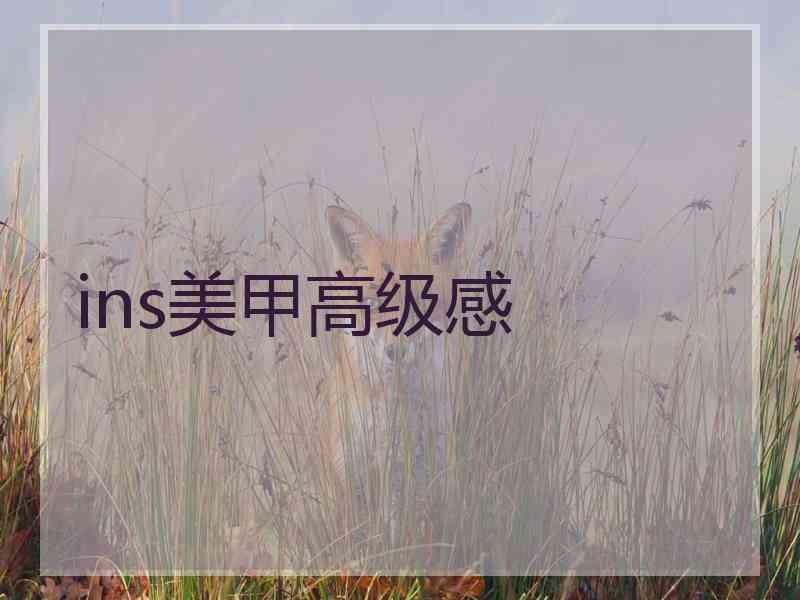 ins美甲高级感