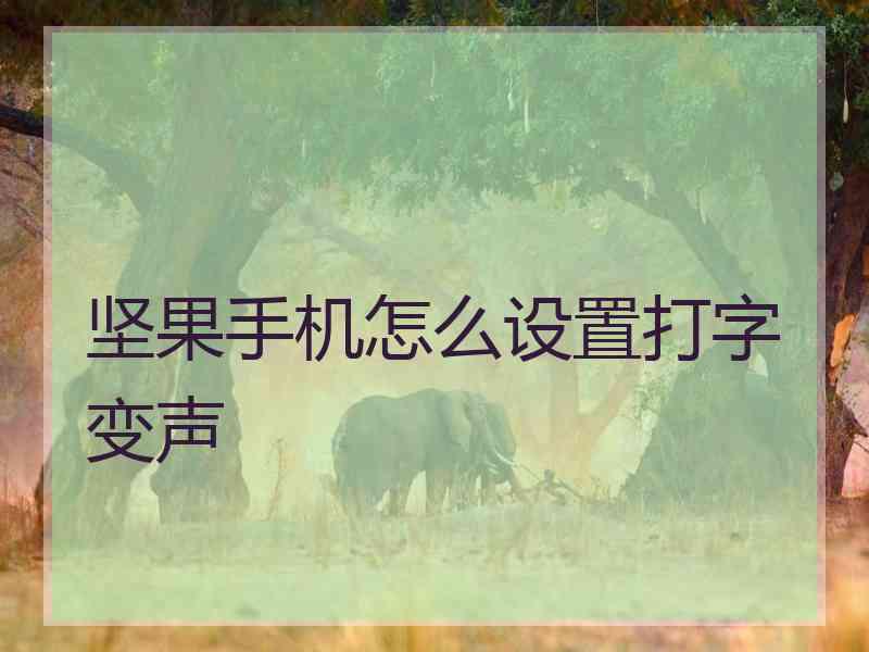 坚果手机怎么设置打字变声