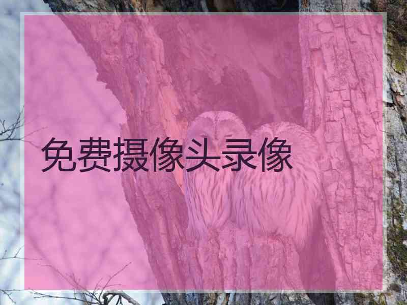 免费摄像头录像