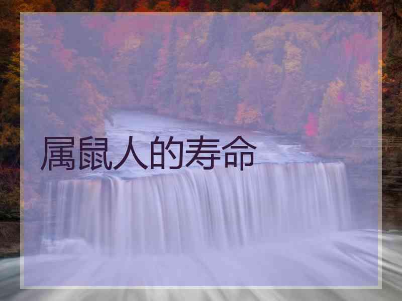 属鼠人的寿命