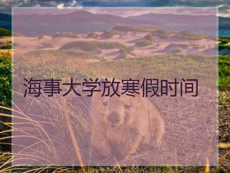 海事大学放寒假时间