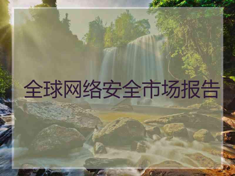 全球网络安全市场报告
