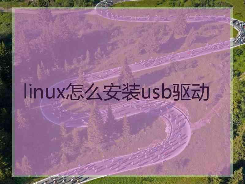 linux怎么安装usb驱动