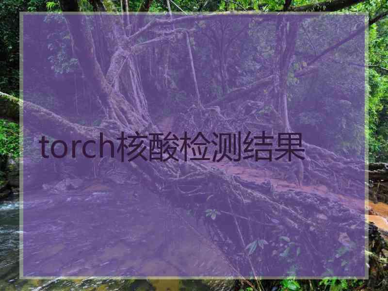 torch核酸检测结果