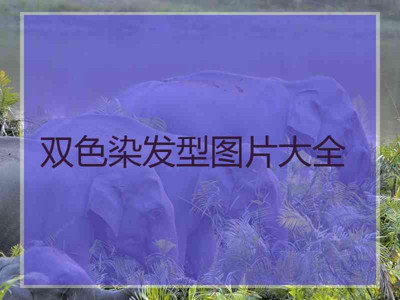双色染发型图片大全
