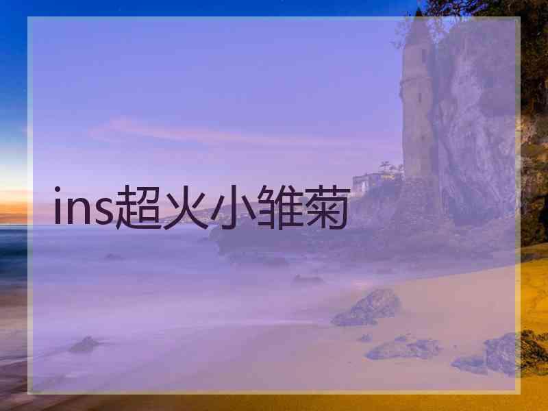 ins超火小雏菊