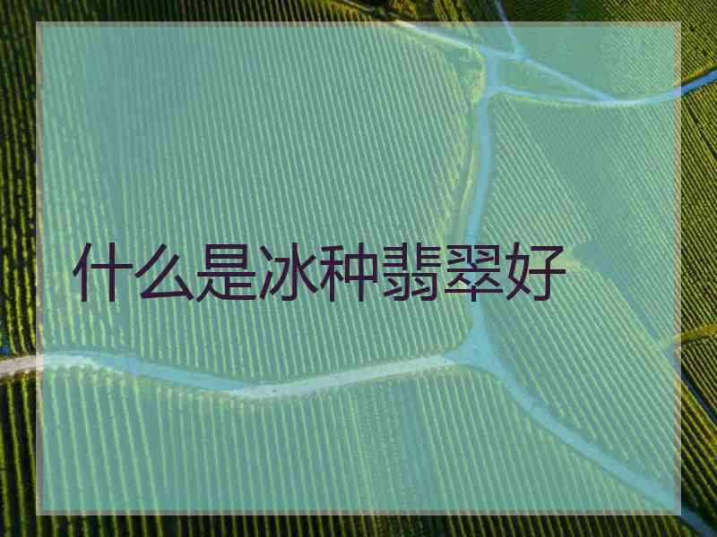 什么是冰种翡翠好