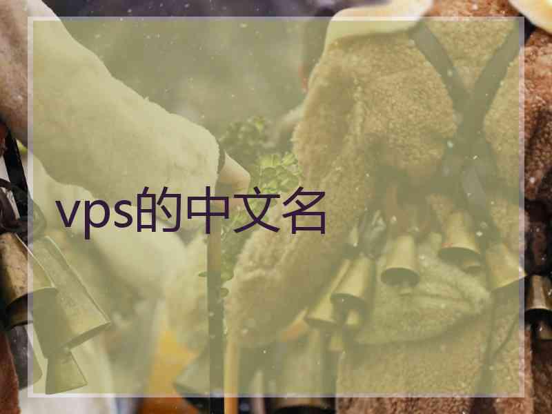 vps的中文名