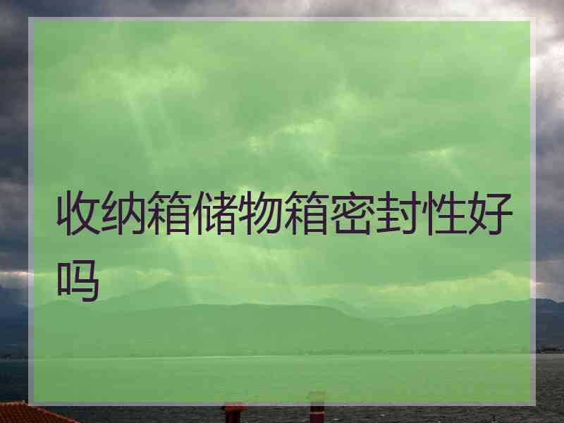 收纳箱储物箱密封性好吗