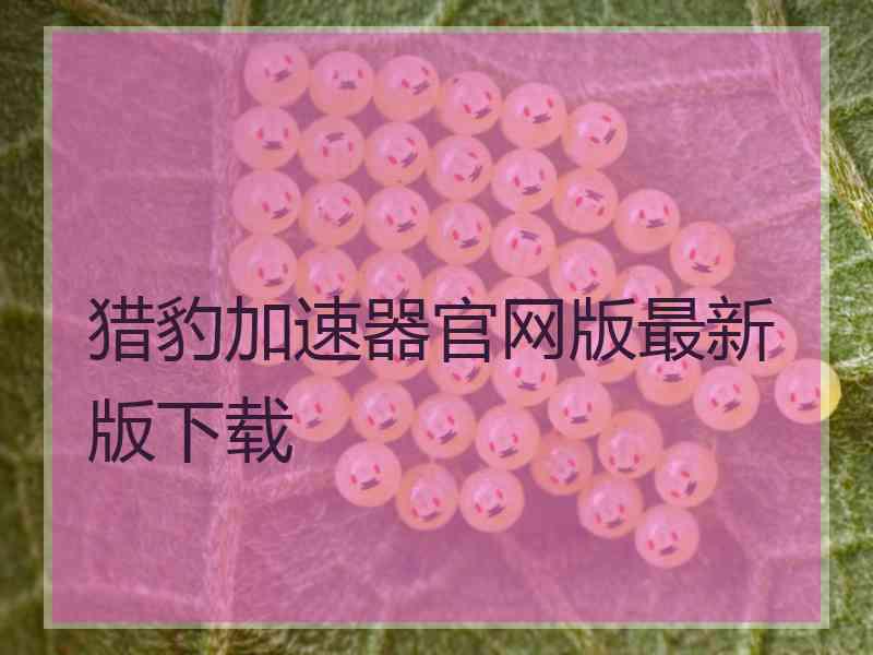 猎豹加速器官网版最新版下载