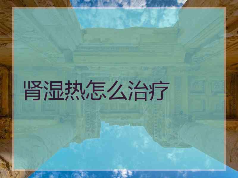 肾湿热怎么治疗