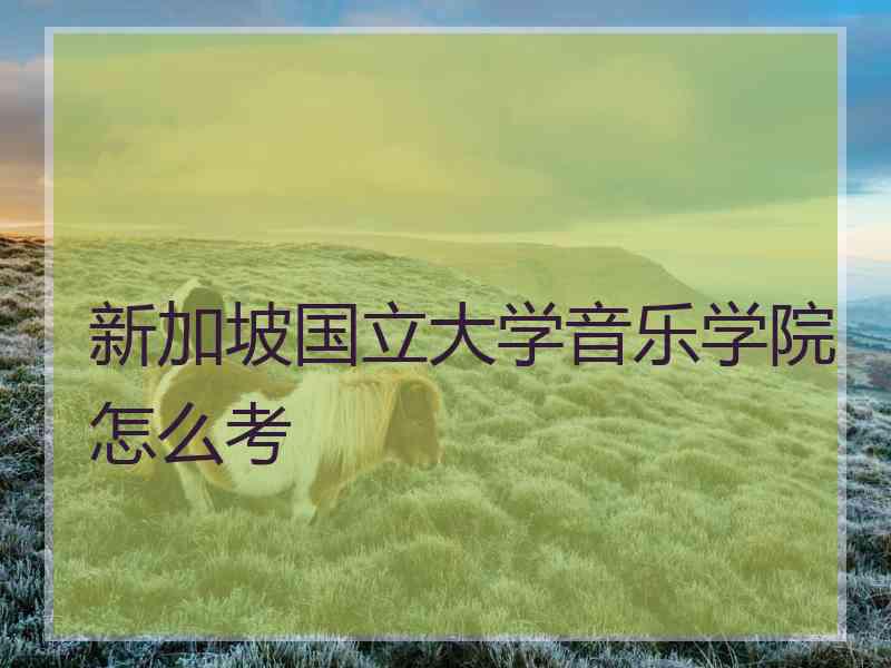 新加坡国立大学音乐学院怎么考