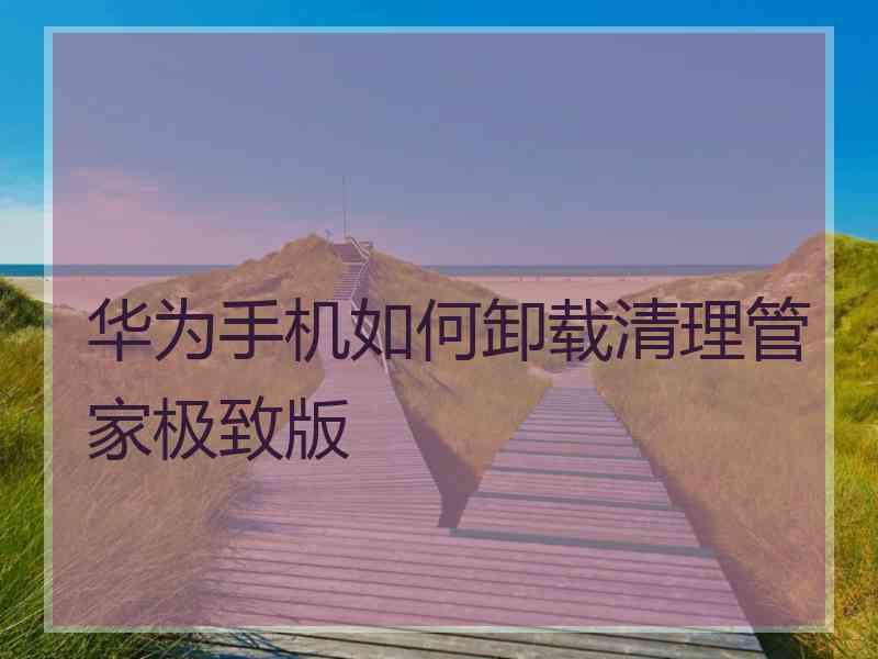 华为手机如何卸载清理管家极致版