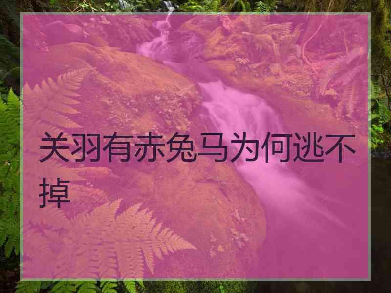 关羽有赤兔马为何逃不掉