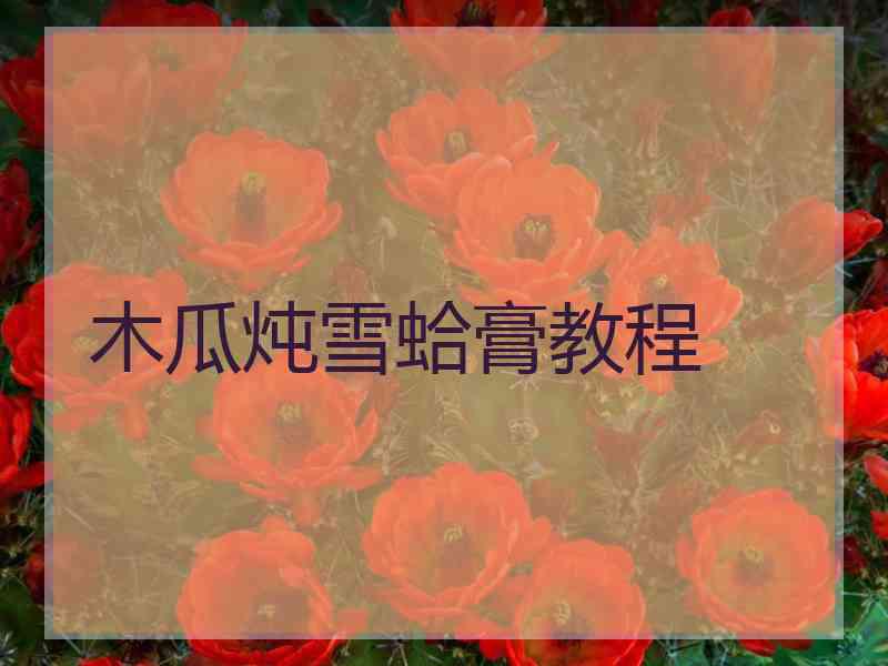 木瓜炖雪蛤膏教程
