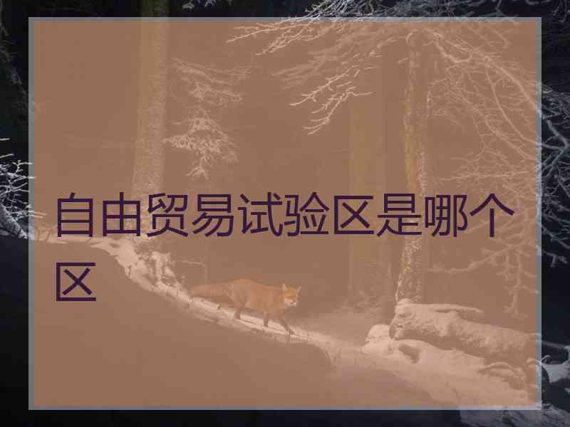 自由贸易试验区是哪个区