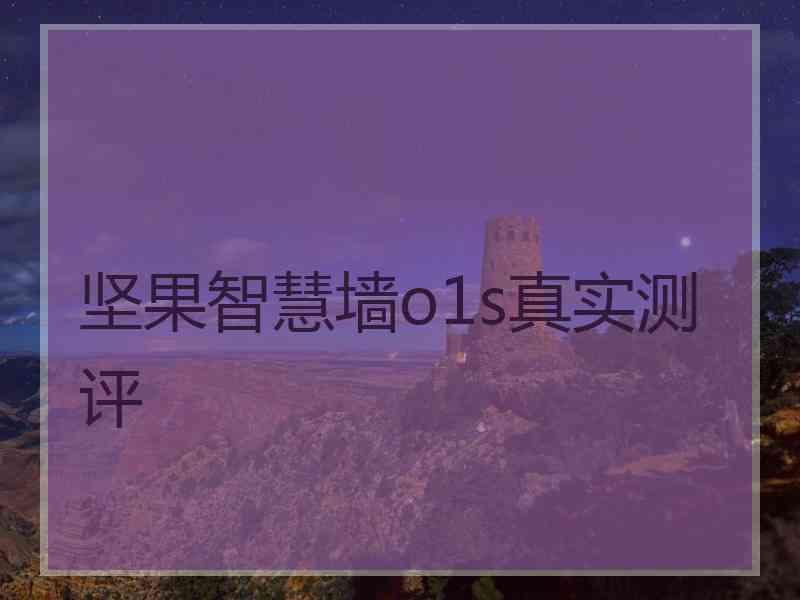 坚果智慧墙o1s真实测评