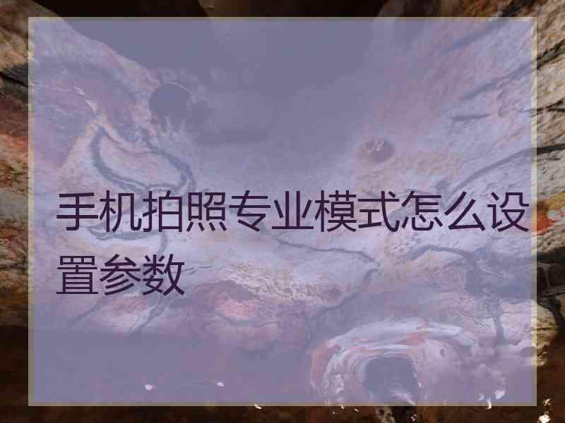 手机拍照专业模式怎么设置参数