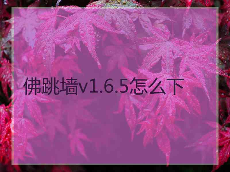 佛跳墙v1.6.5怎么下
