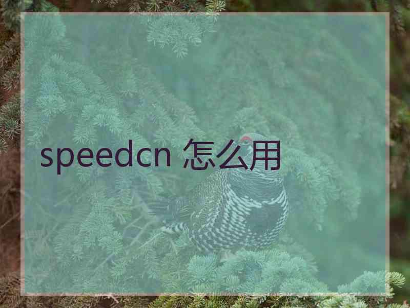 speedcn 怎么用