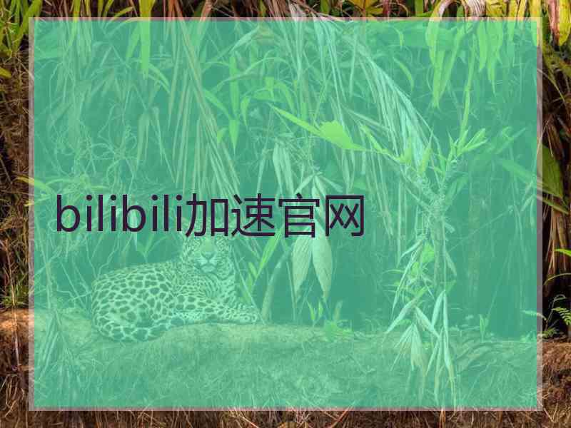 bilibili加速官网