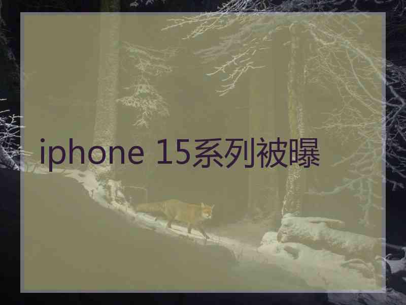 iphone 15系列被曝