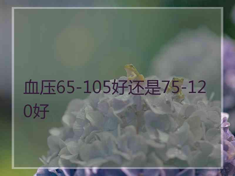 血压65-105好还是75-120好