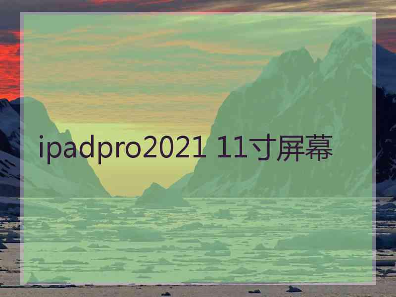 ipadpro2021 11寸屏幕