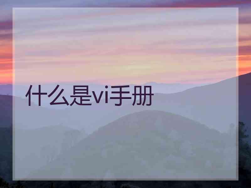 什么是vi手册