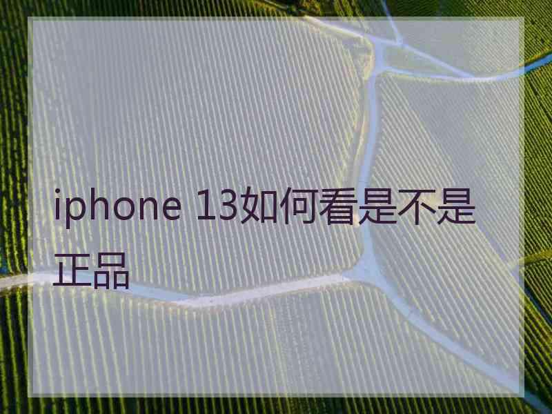 iphone 13如何看是不是正品