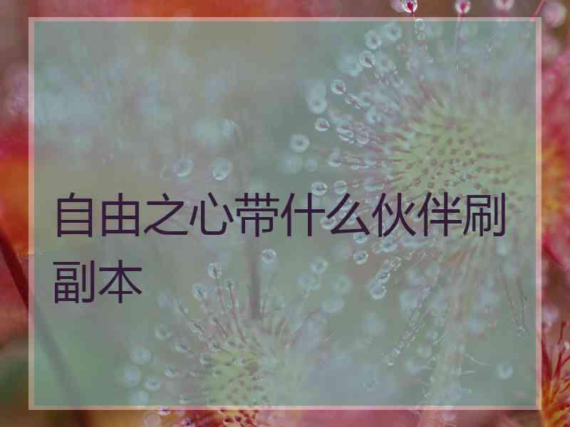 自由之心带什么伙伴刷副本