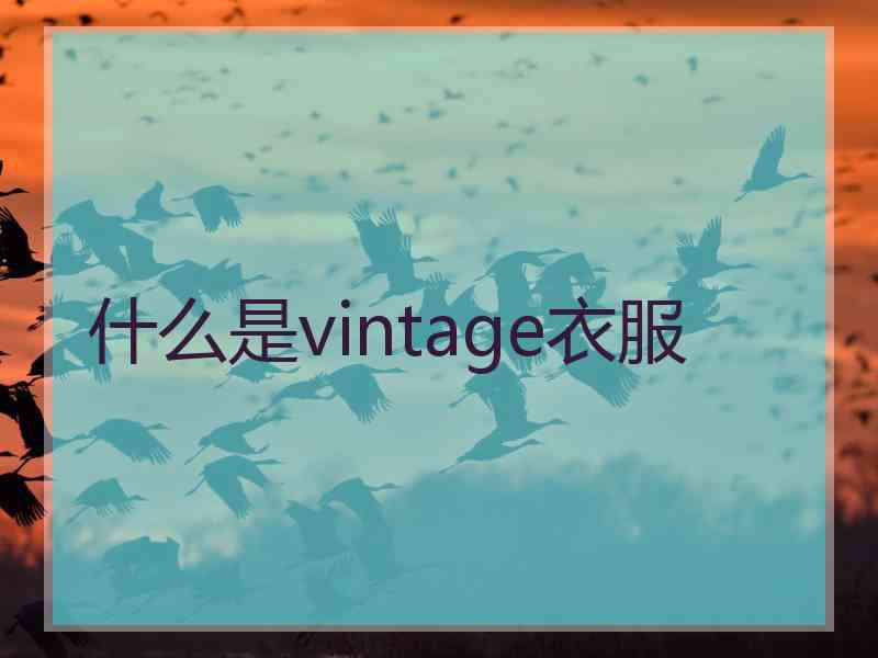 什么是vintage衣服