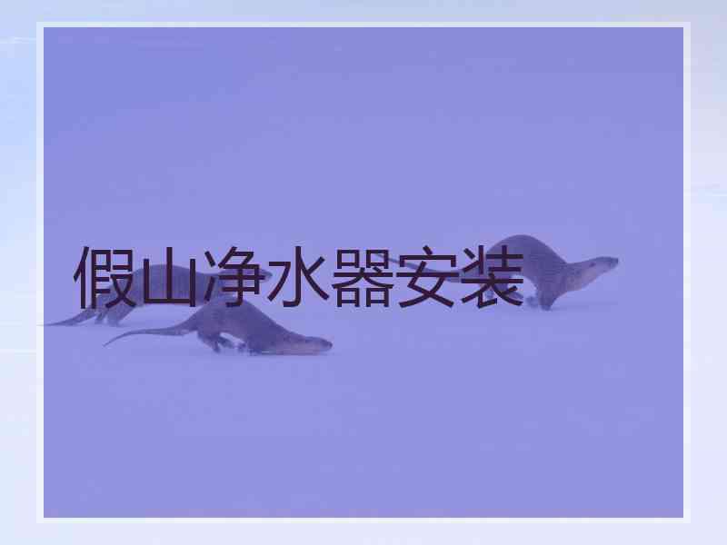 假山净水器安装