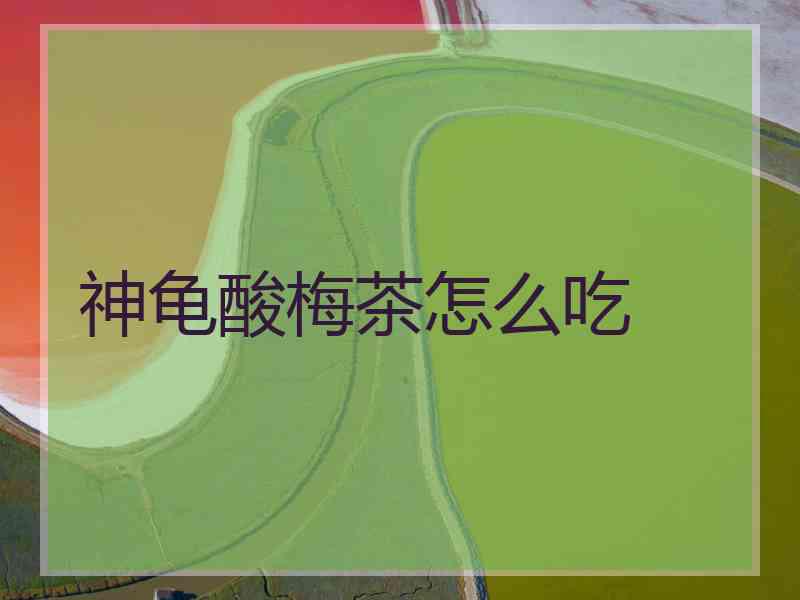 神龟酸梅茶怎么吃