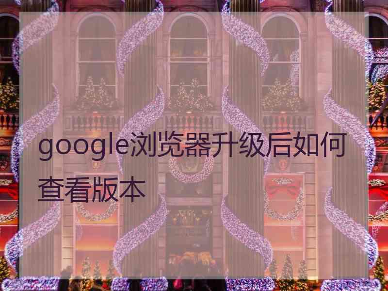 google浏览器升级后如何查看版本