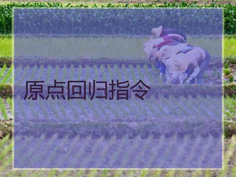 原点回归指令