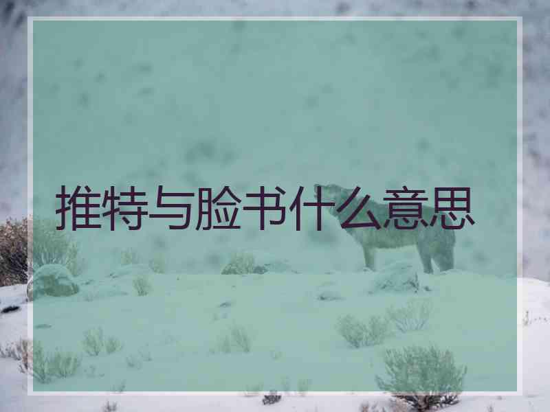 推特与脸书什么意思