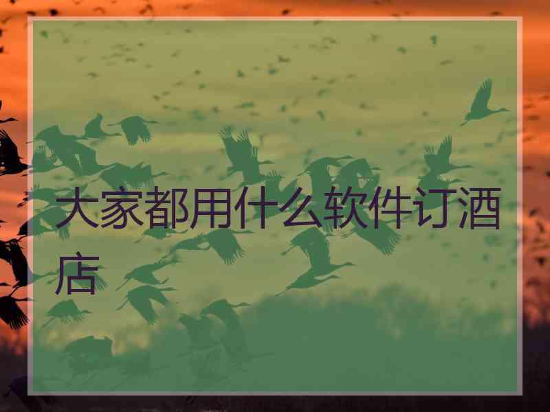 大家都用什么软件订酒店