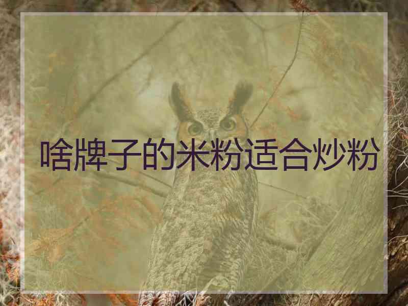 啥牌子的米粉适合炒粉