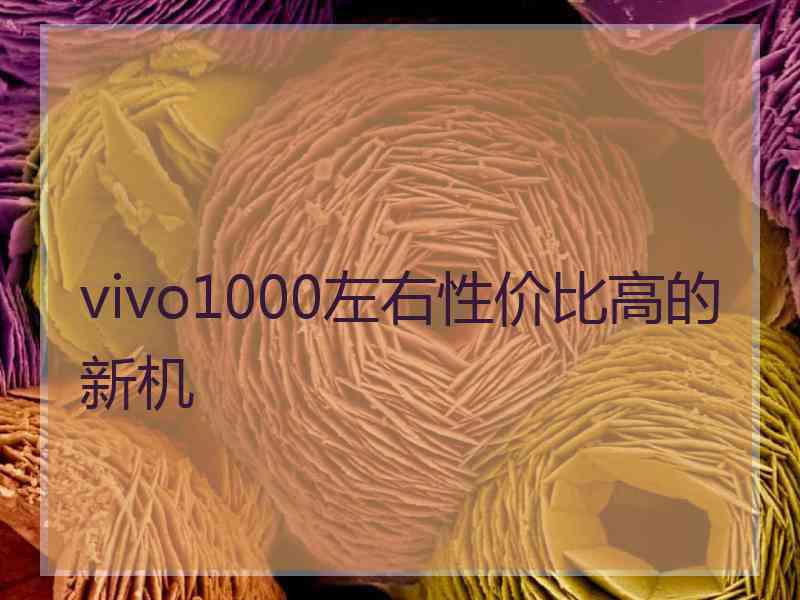 vivo1000左右性价比高的新机