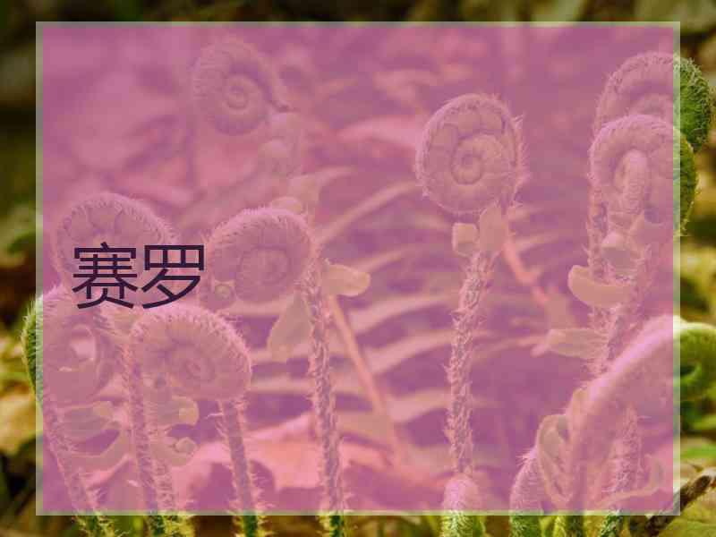 赛罗