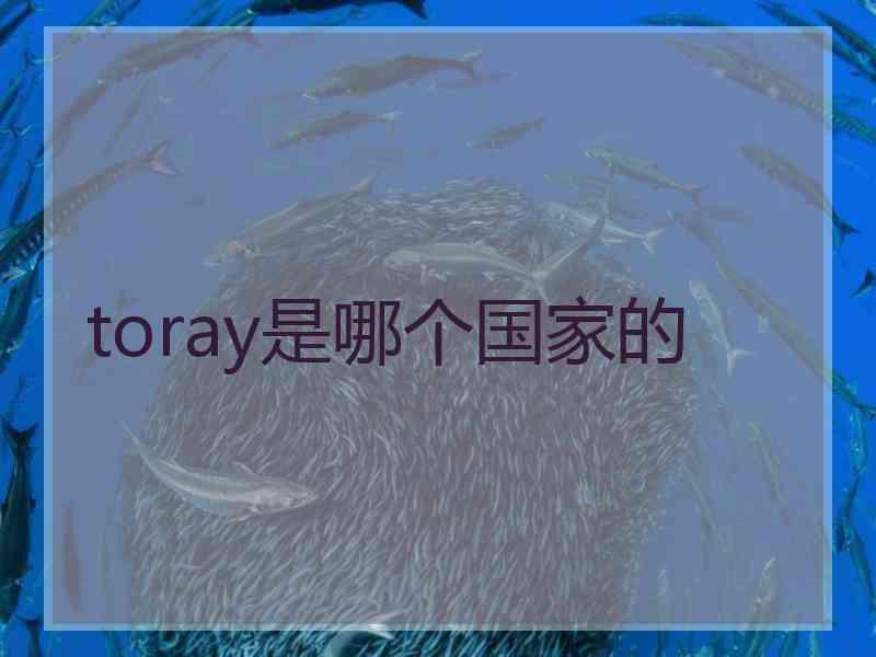 toray是哪个国家的