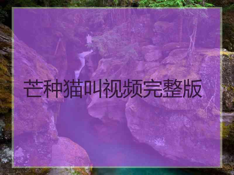 芒种猫叫视频完整版