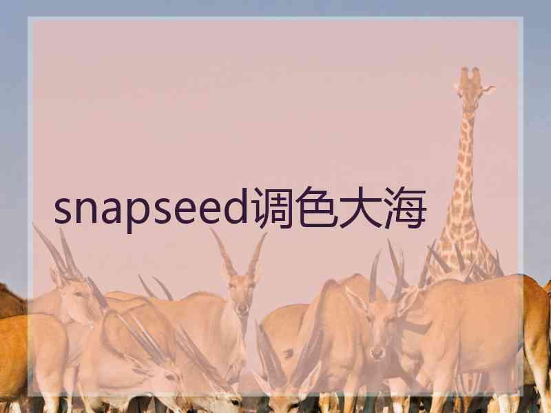 snapseed调色大海