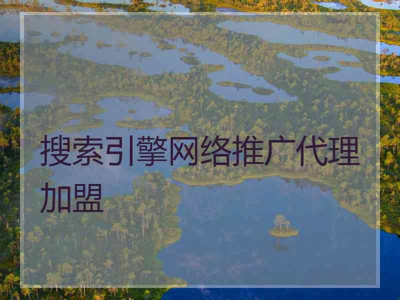 搜索引擎网络推广代理加盟