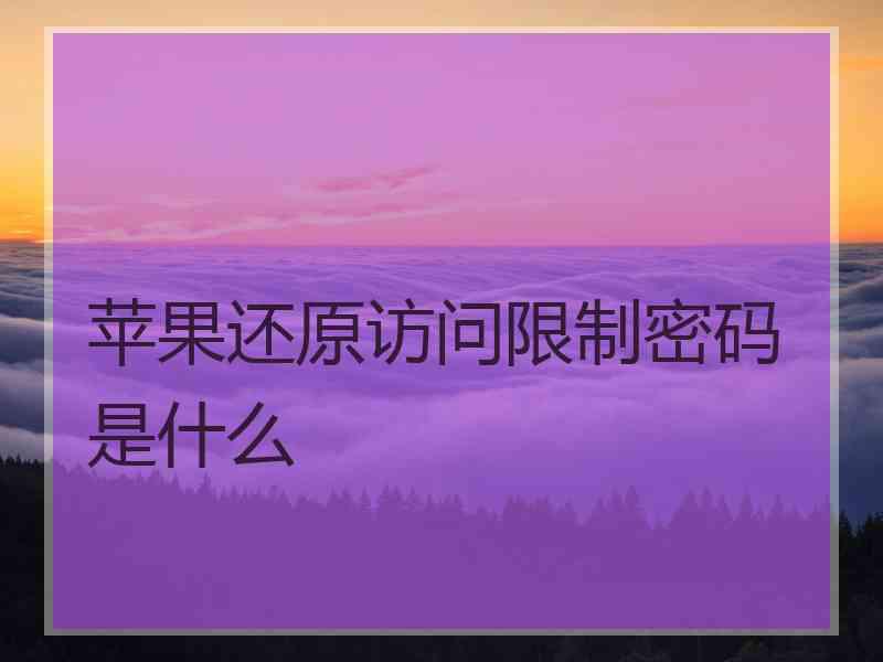 苹果还原访问限制密码是什么